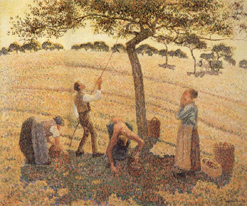 Camille Pissarro Pick Apple Norge oil painting art